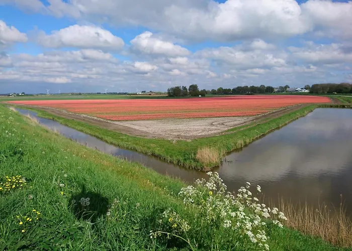 Fantastic By The Sea Feriehus